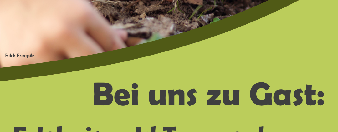 Hände in Erde Plakat Nachhaltigkeitstag