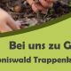 Hände in Erde Plakat Nachhaltigkeitstag