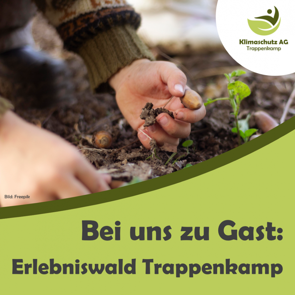 Plakat Nachhaltigkeitstag Erlbeniswald