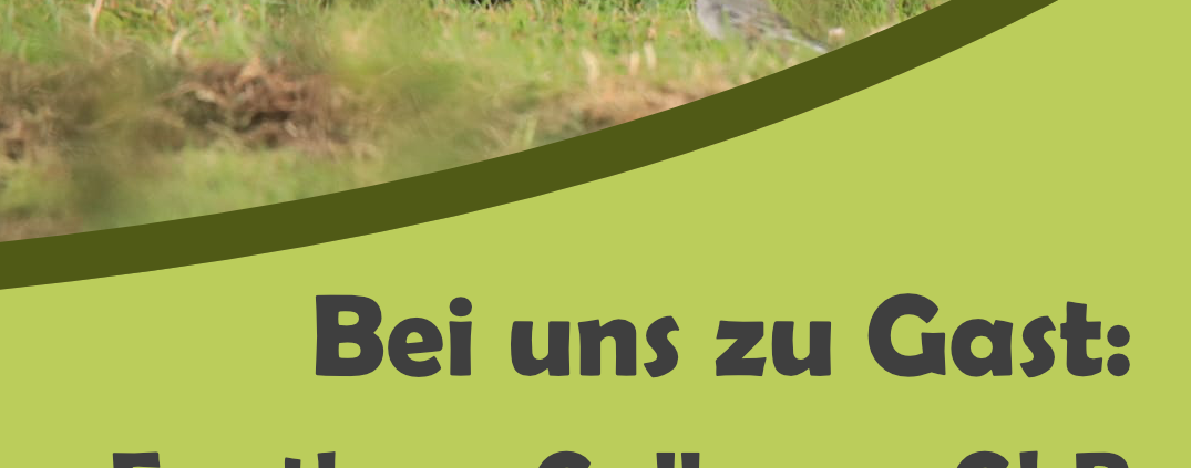Plakat von Galloway Dalldorf, Nachhatigkeitstag