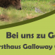 Plakat von Galloway Dalldorf, Nachhatigkeitstag