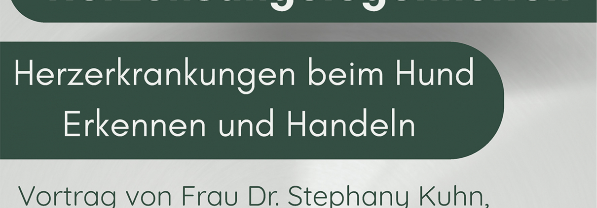 Plakat Laternen fest