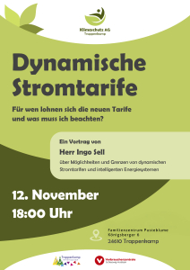 Plakat Vortrag Stromtarife